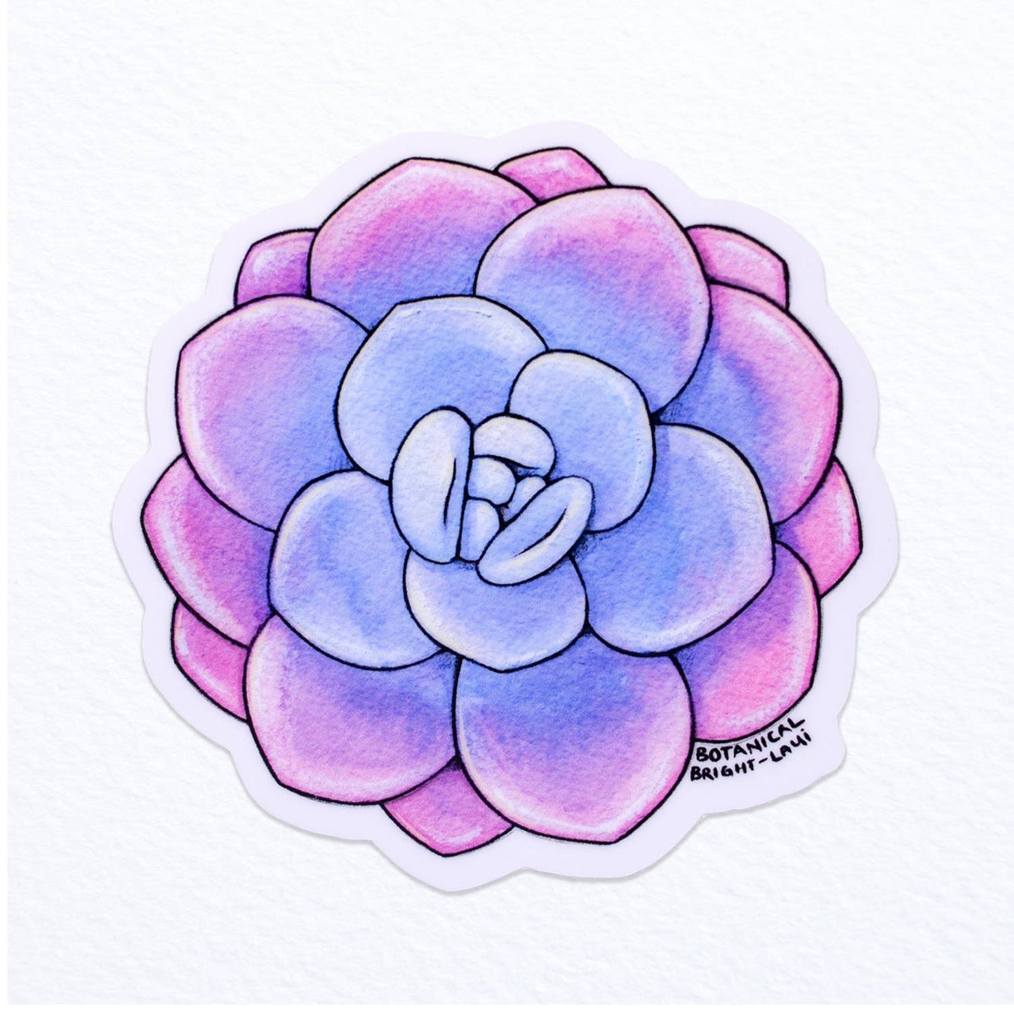 Succulent Echeveria Laui Waterproof Vinyl Sticker