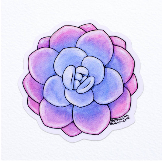 Succulent Echeveria Laui Waterproof Vinyl Sticker